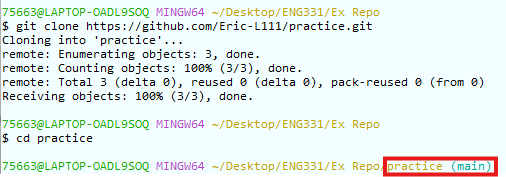 Image of console output displaying clone and move to repo locally