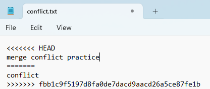 Image of text editor for conflicting file displaying areas of conflicting changes