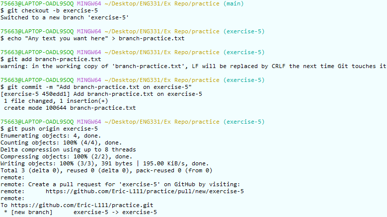 Image of console output displaying branch creation and modifcation