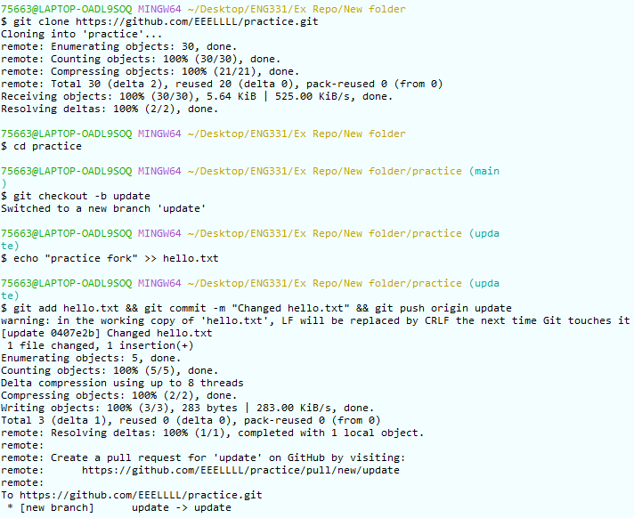 Image of console output displaying fork creation and modifcation