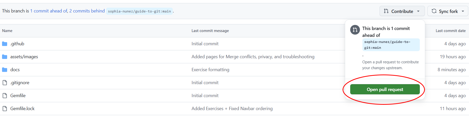 Image of pull request button for forks on GitHub